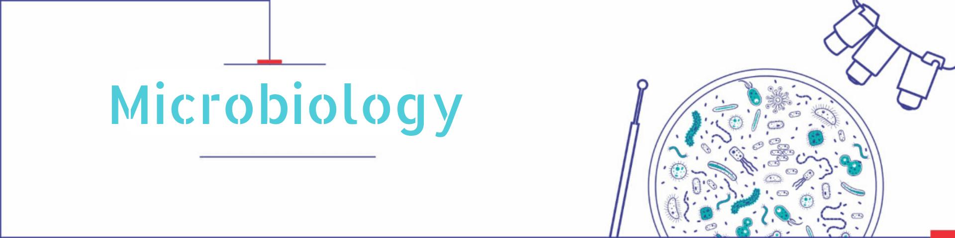 microbiology | patancheru nearby ultrasound centre | diagnostic centre near me